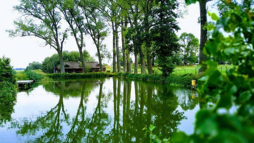Hotel&Spa Dwor Droblin Leśna Podlaska Buitenkant foto